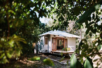 The Little Bush Hut - Tweed Heads Accommodation 1