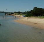 Black Dolphin Waterfront Townhouse Bay Views - Tweed Heads Accommodation