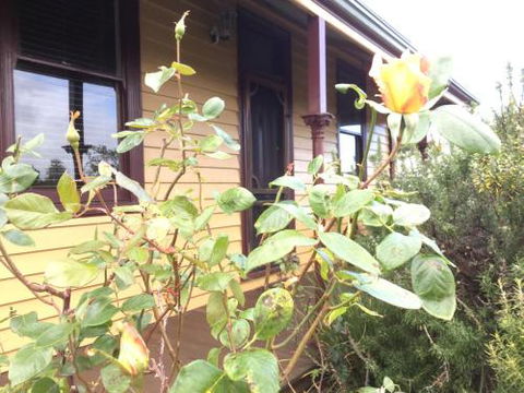 Albion Cottage - Tweed Heads Accommodation 4