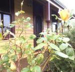 Albion Cottage - Tweed Heads Accommodation