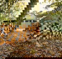 Cape Otway Cottages - Tweed Heads Accommodation