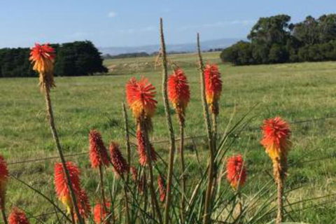 Yanakie Holiday House - Tweed Heads Accommodation 7