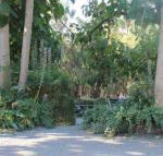 Avoca Park - Tweed Heads Accommodation