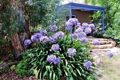 A Stanthorpe Getaway - Tweed Heads Accommodation 4