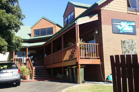 High On Penguin - Tweed Heads Accommodation 1