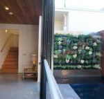 Stella on Stevens - Tweed Heads Accommodation