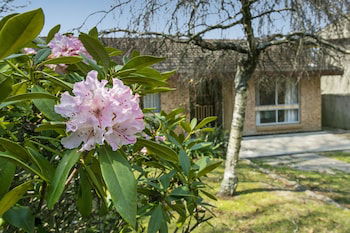 Wentworth Rose - Tweed Heads Accommodation 0