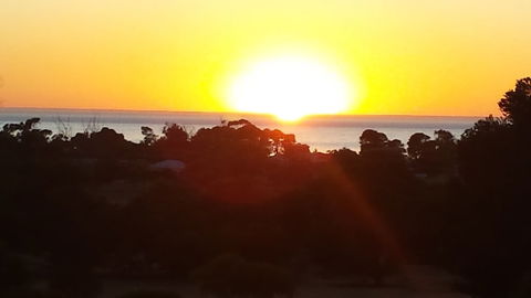 Oyster Court Apartments - Tweed Heads Accommodation 5