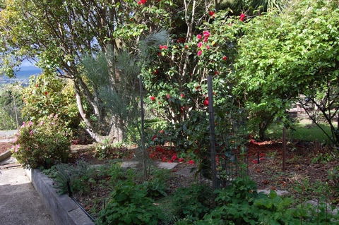 Trevallyn House - Tweed Heads Accommodation 1