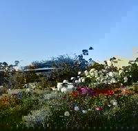 Labertouche Gypsy Creek Winery - Tweed Heads Accommodation