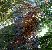 Rain Forest Gem - Tweed Heads Accommodation