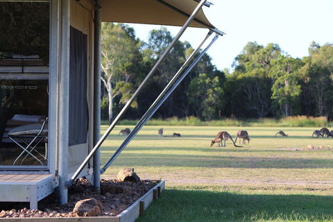 Habitat Noosa - Tweed Heads Accommodation 3