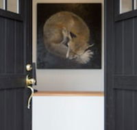 Fox on the Run - Motel Kilmore - Tweed Heads Accommodation