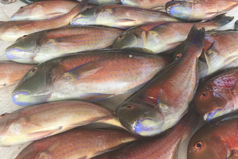 DRIFTWOOD - Tweed Heads Accommodation 5