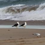 Baillieu Breeze - Tweed Heads Accommodation 0