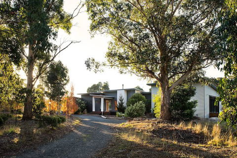 Arya - Tweed Heads Accommodation 1