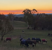 High Country Trail Rides  Farm Stay - Tweed Heads Accommodation