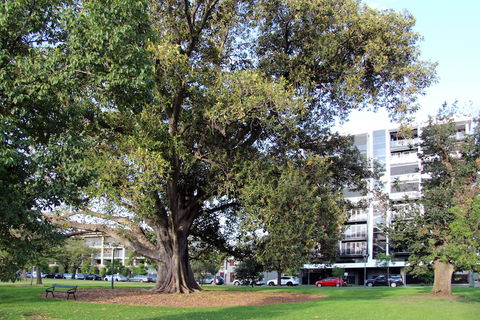 Adelaide Central Apartment - 3BR, 2Bath & Carpark - Tweed Heads Accommodation 1
