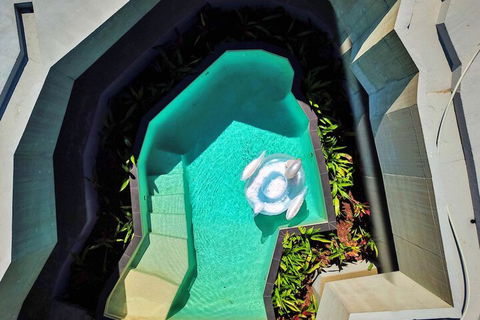 Alkira Award Winning Luxury Holiday Home - Tweed Heads Accommodation 6