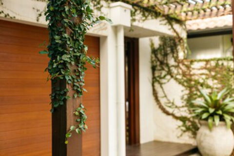 ESPRIT 2 PALM COVE BRAND NEW - Tweed Heads Accommodation 0