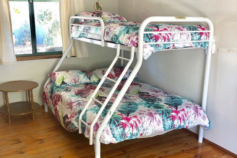 Pets Galore 13 Horizon Parade - Tweed Heads Accommodation 2