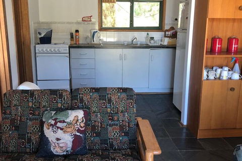 Pets Galore 13 Horizon Parade - Tweed Heads Accommodation 4