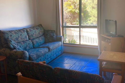 Pets Galore 13 Horizon Parade - Tweed Heads Accommodation 5