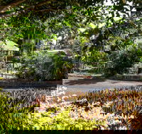 Country Comfort Bundaberg - Tweed Heads Accommodation