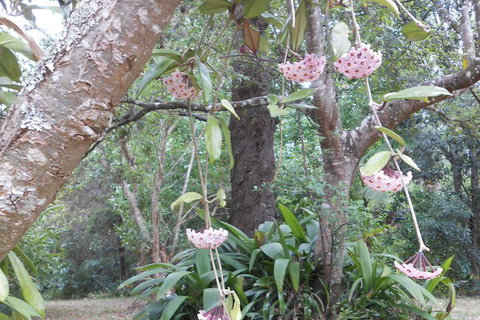 Crabbes Creek Cottages - Tweed Heads Accommodation 5