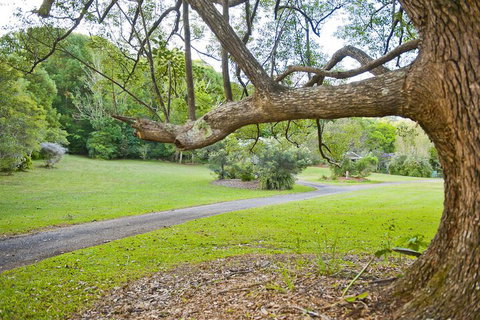 Crabbes Creek Cottages - Tweed Heads Accommodation 3