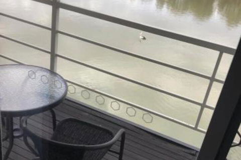 Murray River Queen - Tweed Heads Accommodation 0