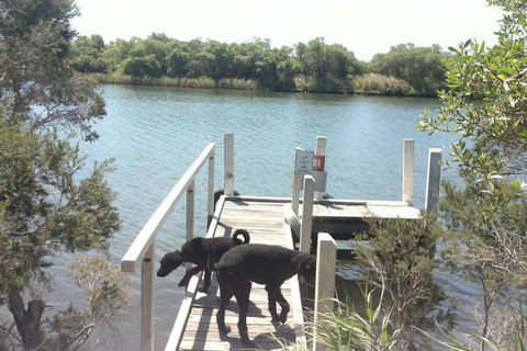 River Cottage Eagle Point - Tweed Heads Accommodation 2