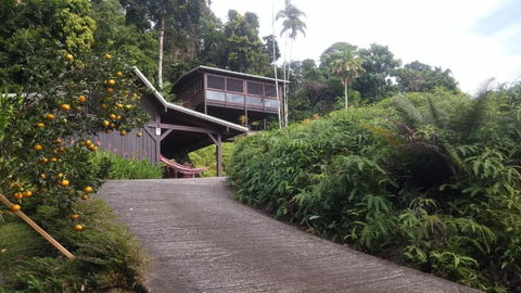 Daintree Holiday Homes La Vista - Tweed Heads Accommodation 4