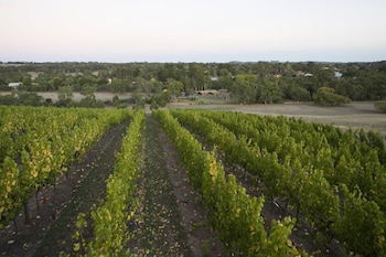 Barristers Block Vigneron Villa - Tweed Heads Accommodation 3