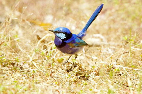 Yelverton Brook Conservation Sanctuary - Tweed Heads Accommodation 2
