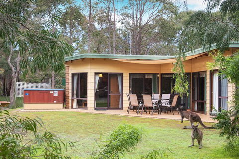 Yelverton Brook Conservation Sanctuary - Tweed Heads Accommodation 6