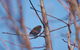 Yelverton Brook Conservation Sanctuary - thumb 1