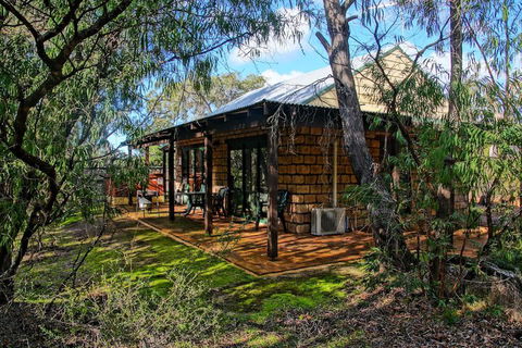 Yelverton Brook Conservation Sanctuary - Tweed Heads Accommodation 3