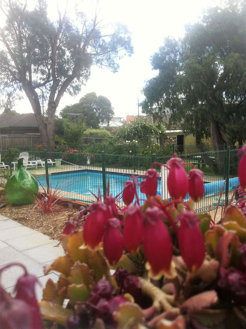 Parkwood Motel And Apartments - Tweed Heads Accommodation 3