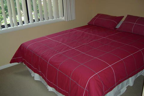 Busy Buzz B & B - Tweed Heads Accommodation 4