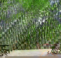 Azabu Boutique Accommodation Byron Bay - Tweed Heads Accommodation
