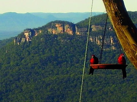 Valley Of The Waters B&B - Tweed Heads Accommodation 3