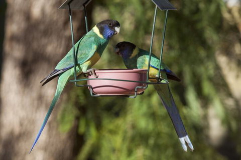 Kathys Place Bed And Breakfast - Tweed Heads Accommodation 2