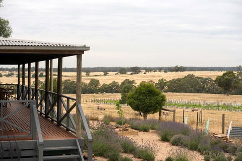 Gilgraves Vineyard Farmstay - Tweed Heads Accommodation 2