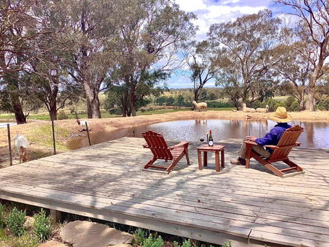 Gilgraves Vineyard Farmstay - Tweed Heads Accommodation 6