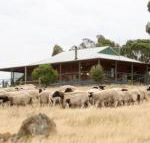 Gilgraves Vineyard Farmstay - Tweed Heads Accommodation