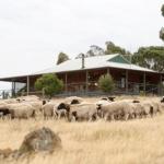 Gilgraves Vineyard Farmstay - Tweed Heads Accommodation 0