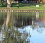 Wentworth Wharf B  B - Tweed Heads Accommodation