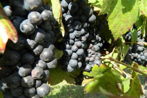 Haig Avenue - Tweed Heads Accommodation 3