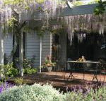 Windrush BnB Comboyne Australia - Tweed Heads Accommodation